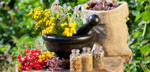 Il giardino degli dei