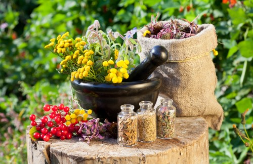 Il giardino degli dei