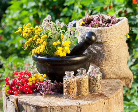 Il giardino degli dei