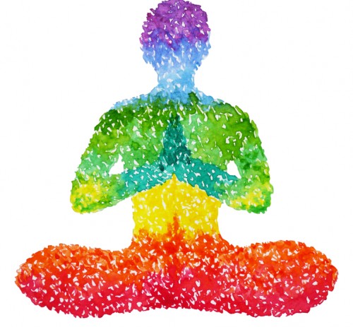 Mindfulness e Neuroscienze