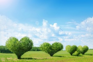 Elementi di Bioetica