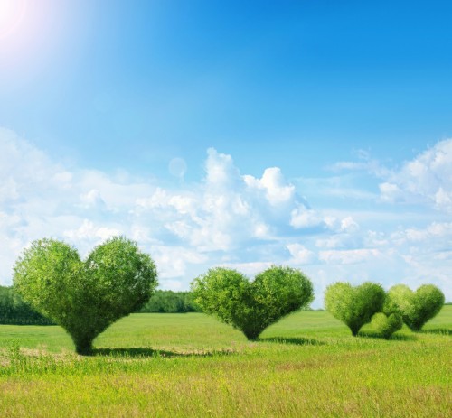 Elementi di Bioetica