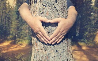 Ambiente, Uomo e Umanità