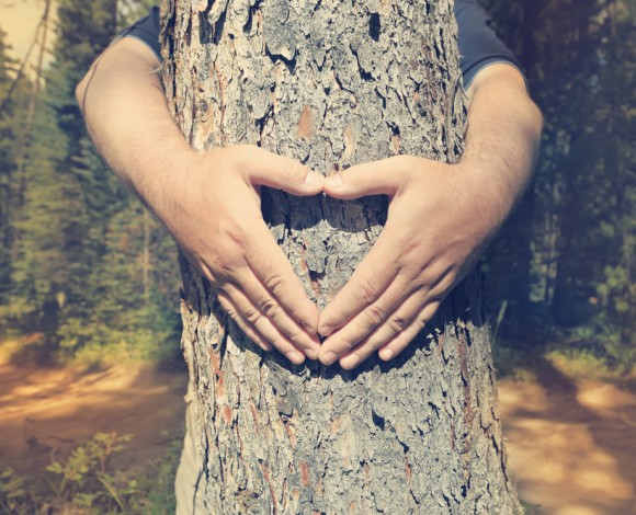 Ambiente, Uomo e Umanità