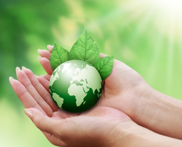 Introduzione ad alcune riflessioni sulla Bioetica Ambientale