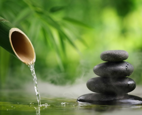 Le Cure Naturali e la Fitoterapia