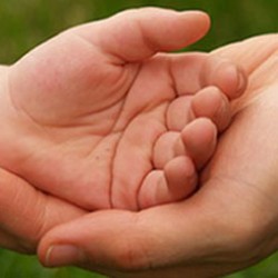 Obiettivi, ruolo e attività del Counselor (videocorso)