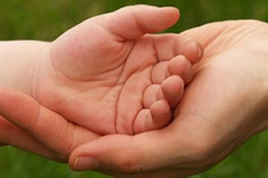 Obiettivi, ruolo e attività del Counselor (videocorso)