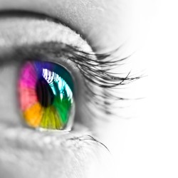 Iridologia Psicosomatica