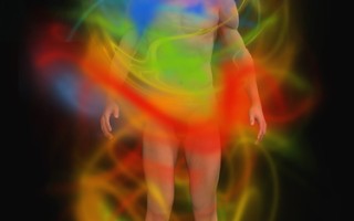 Analisi Bioenergetica