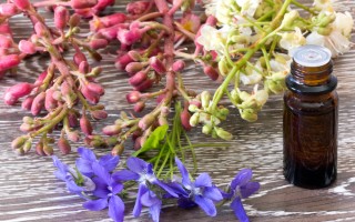 Le danze dei Fiori di Bach