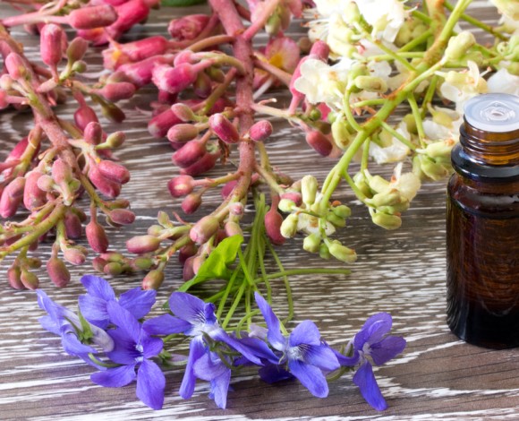 Le danze dei Fiori di Bach