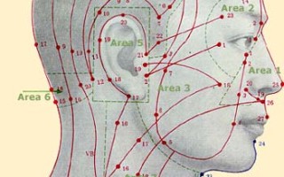 5. Le Proprietà terapeutiche dei Punti del Corpo Umano