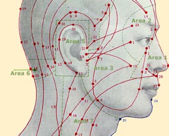 5. Le Proprietà terapeutiche dei Punti del Corpo Umano
