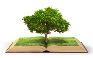 Dispensa per il corso di formazione insegnanti