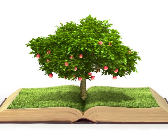 Dispensa per il corso di formazione insegnanti