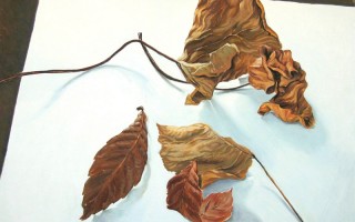 Stile ed Espressione