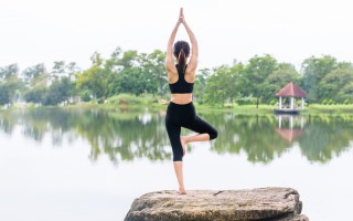 Le ventidue forme di Yoga