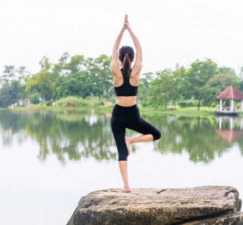 Le ventidue forme di Yoga