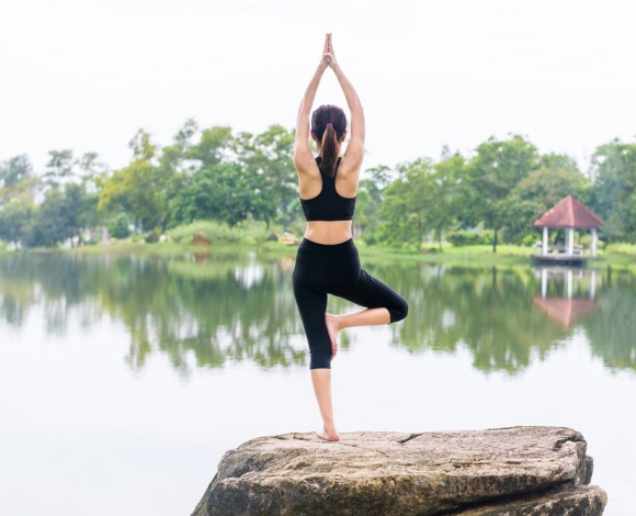 Le ventidue forme di Yoga