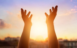 Il Paradigma Olistico