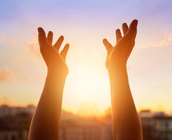 Il Paradigma Olistico