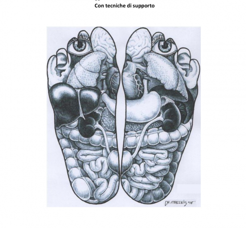 Riflessologia Plantare Olistica