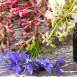 Floriterapia Energetica