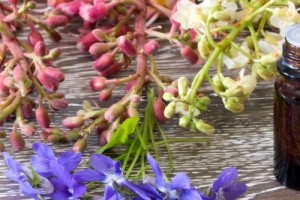 Floriterapia Energetica