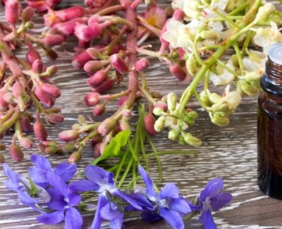 Floriterapia Energetica