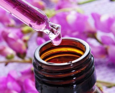 Magister in Floriterapia