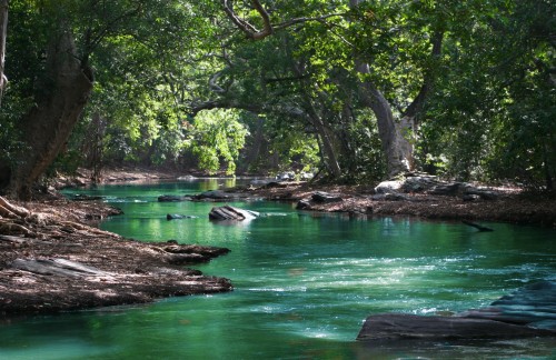 Ecologia e Bioetica ambientale