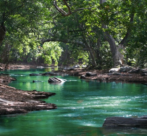 Ecologia