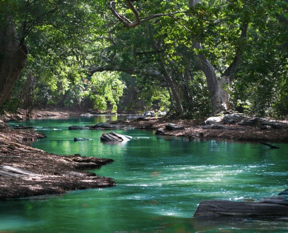 Che cosa e' l'ecologia? Perchè è importante per tutti noi?