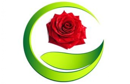 Formazione in Aromaterapia e Piante spontanee