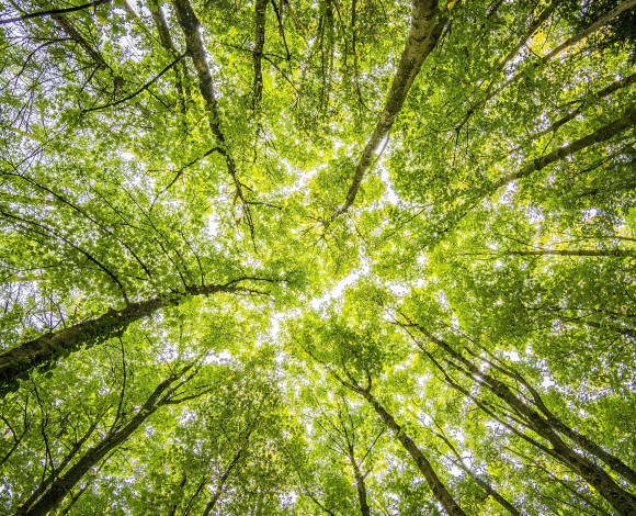 Spiritualità Naturale