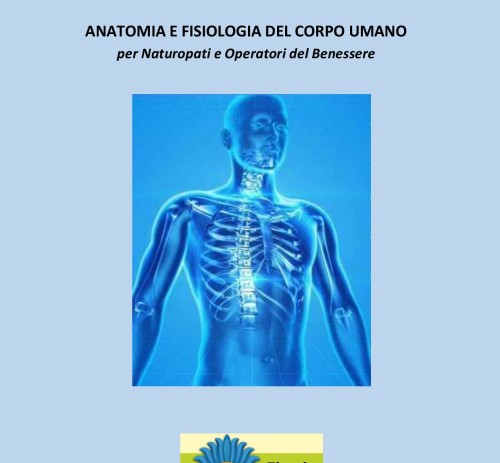 Anatomia e Fisiologia