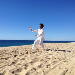 Pratiche Taoiste di Lunga Vita (videocorso)