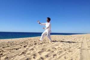 Pratiche Taoiste di Lunga Vita (videocorso)