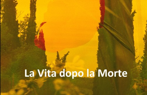 La vita dopo la morte