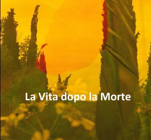 La vita dopo la morte