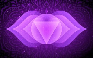 Il sesto Chakra Ajna, Percepire