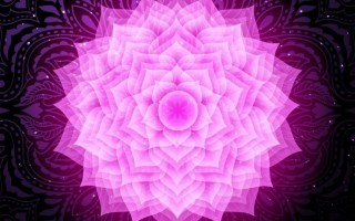 Il settimo Chakra  Sahasrara, della Corona o dei Mille Petali