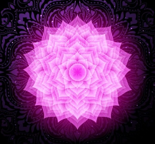 Il settimo Chakra  Sahasrara, della Corona o dei Mille Petali