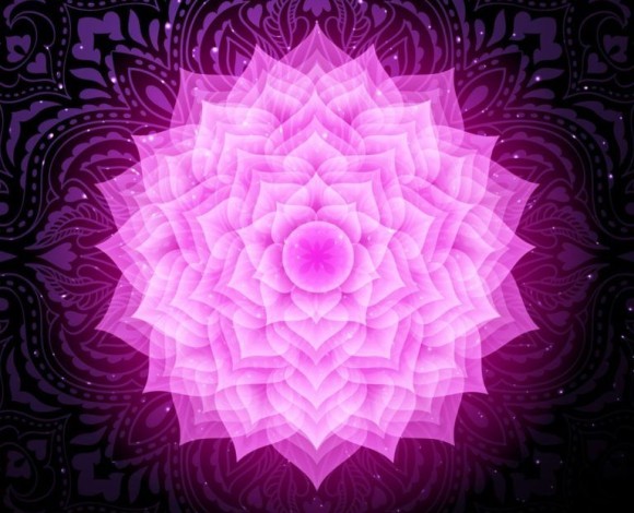 Il settimo Chakra  Sahasrara, della Corona o dei Mille Petali