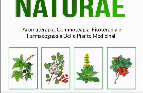 Planta Medicamentum Naturae