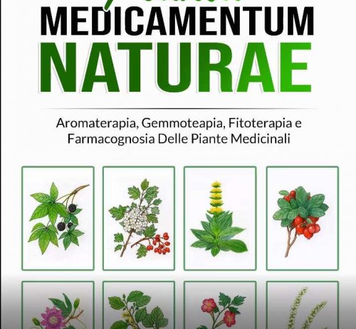Planta Medicamentum Naturae