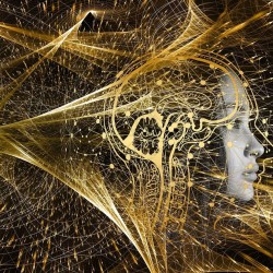 Elementi di Fisica Quantistica (Videocorso)