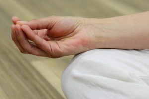 Yoga delle Mani (videocorso)