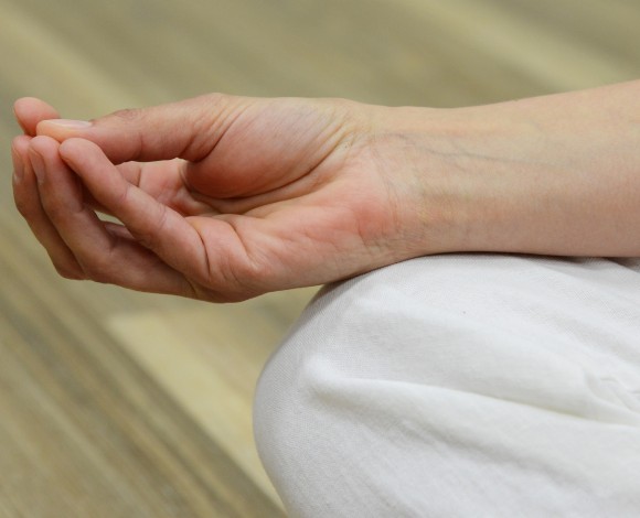 Yoga delle Mani (videocorso)